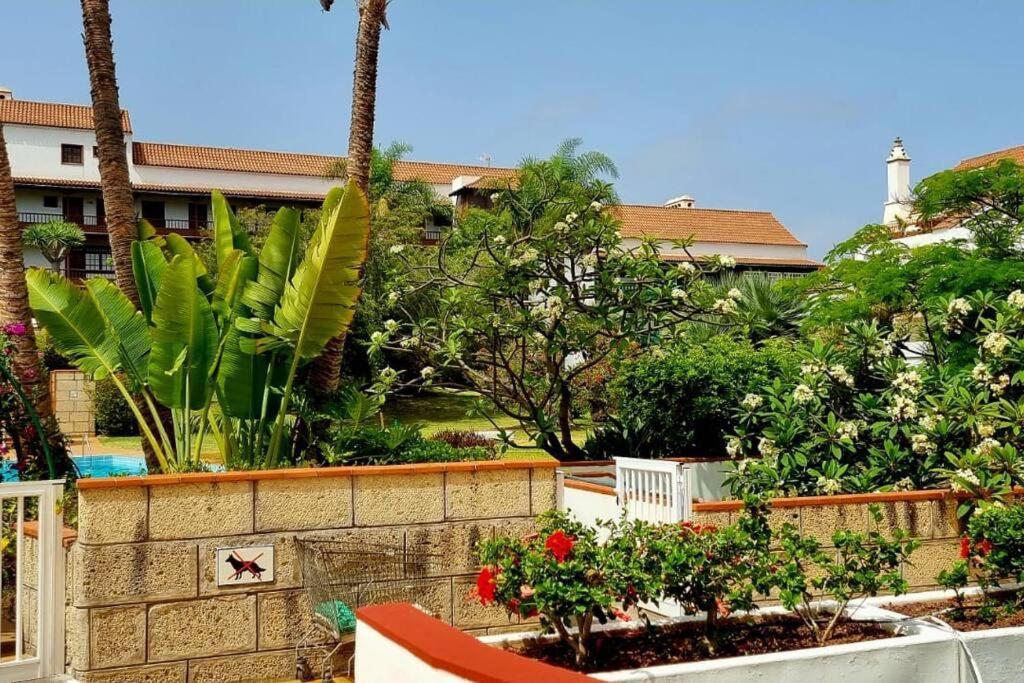 Apartmán Flordetajinaste Puerto de la Cruz  Exteriér fotografie